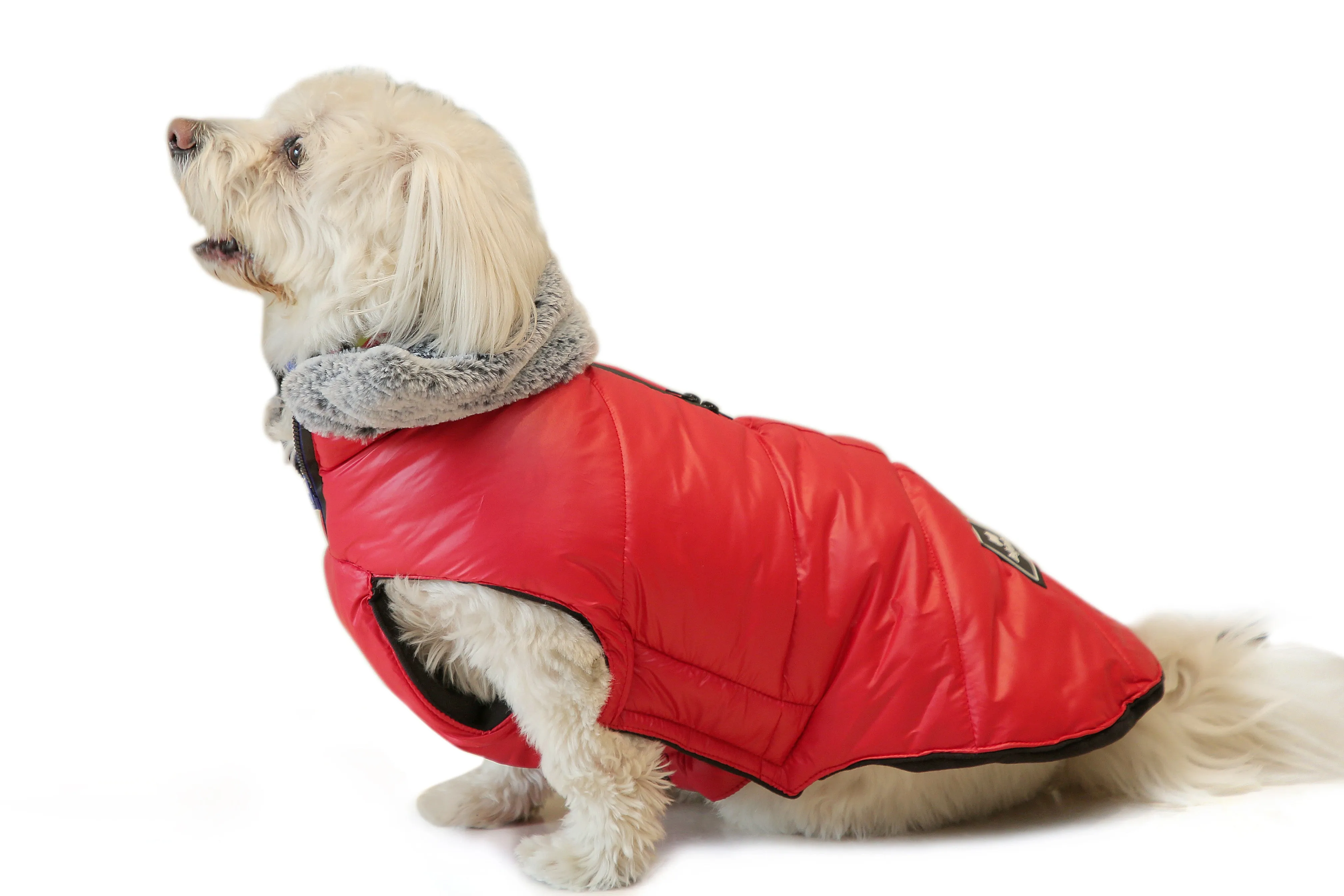 Boss Baby Jacket - Red